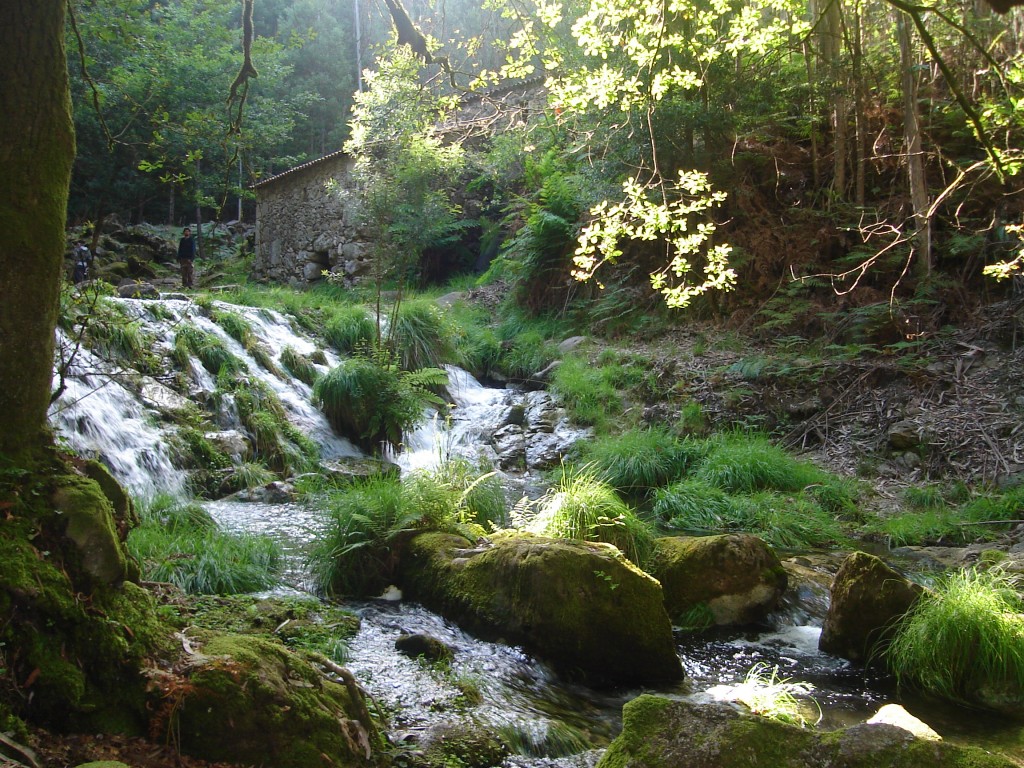 Foto de O Rosal (Pontevedra), España