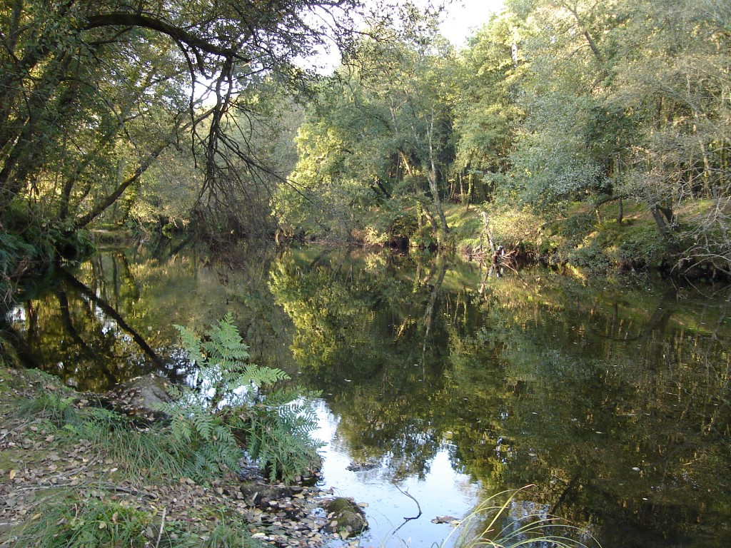 Foto de Ponteareas (Pontevedra), España