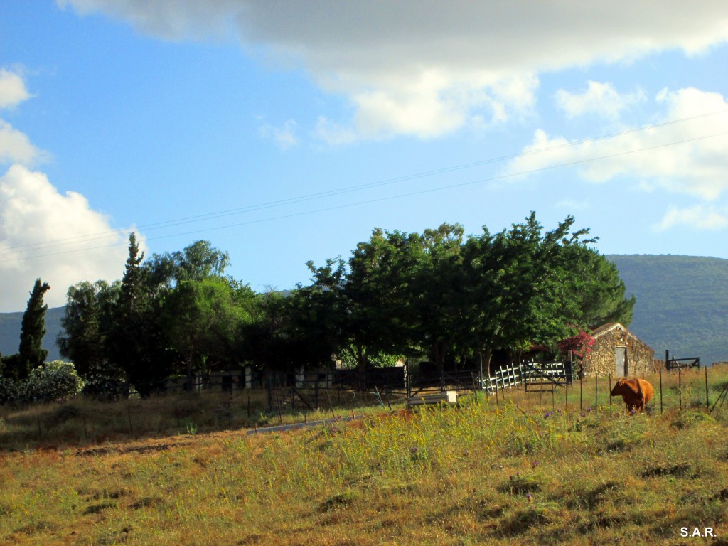 Foto: Cortijo Rgitanillo - Algar (Cádiz), España