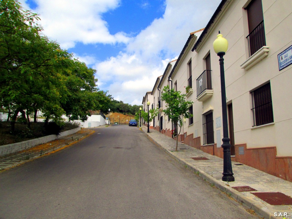 Foto: Calle Escudería Sur - Algar (Cádiz), España