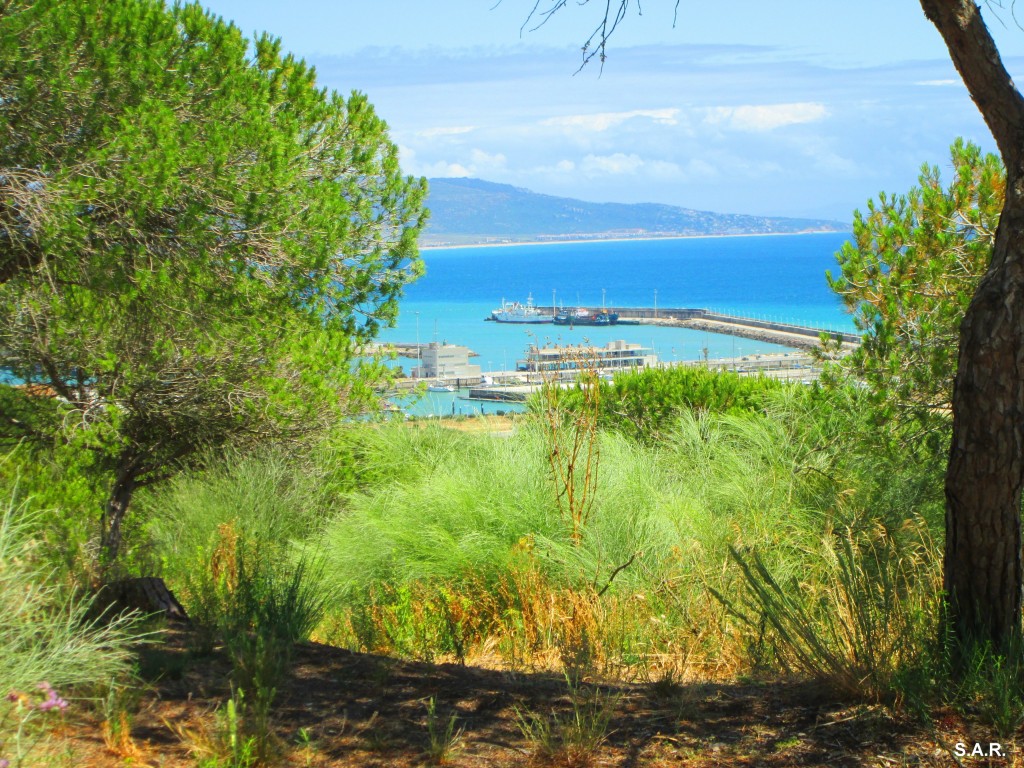 Foto: Puerto de Barbate - Barbate (Cádiz), España