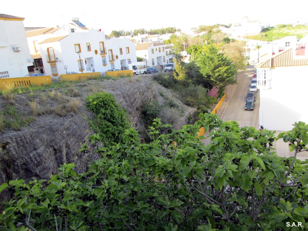 Foto: Desde Calle Ventolera - Benalup (Cádiz), España