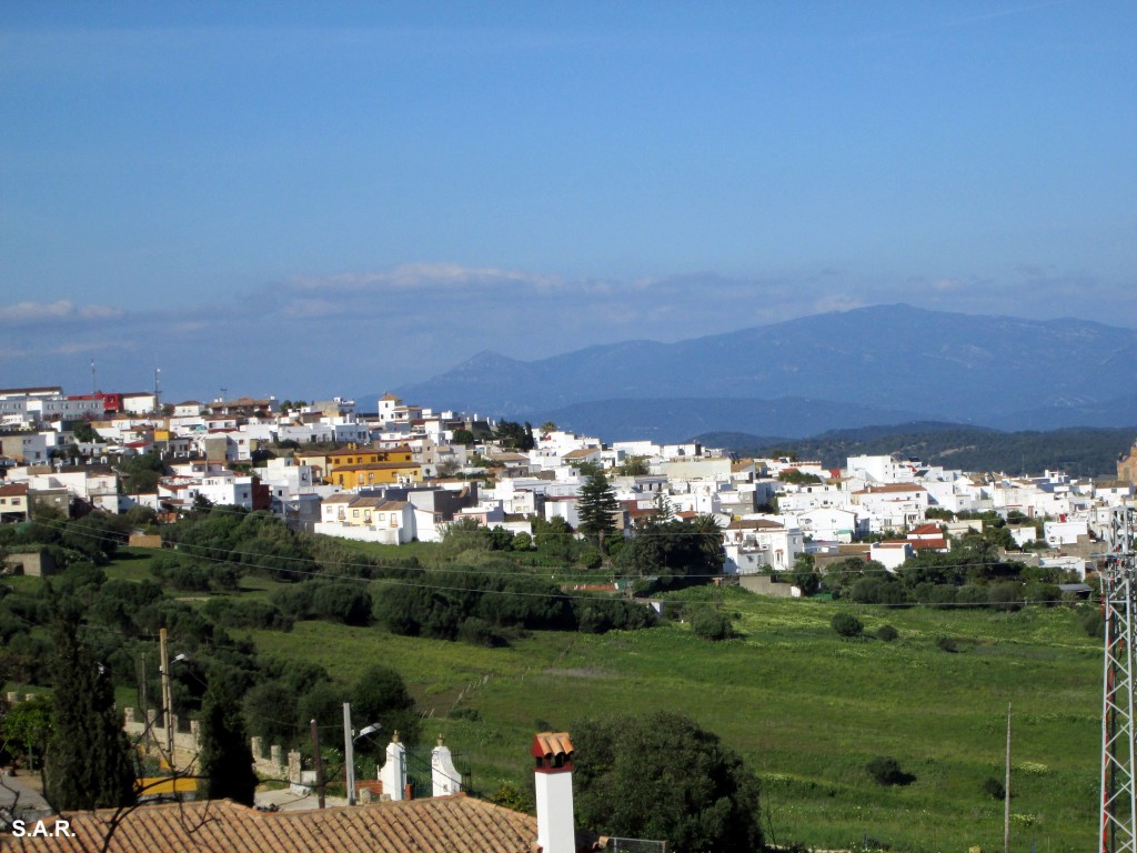 Foto: Vista de Benalup - Benalup (Cádiz), España