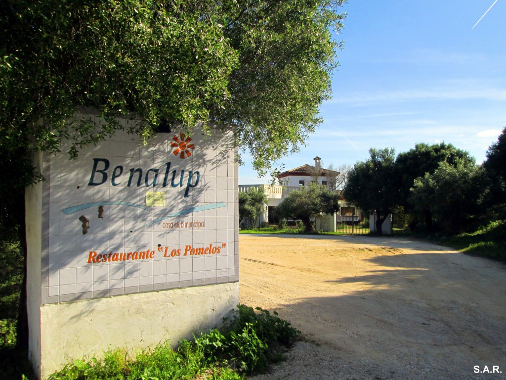 Foto: Hacia el Restaurante Los Pomelos - Benalup (Cádiz), España