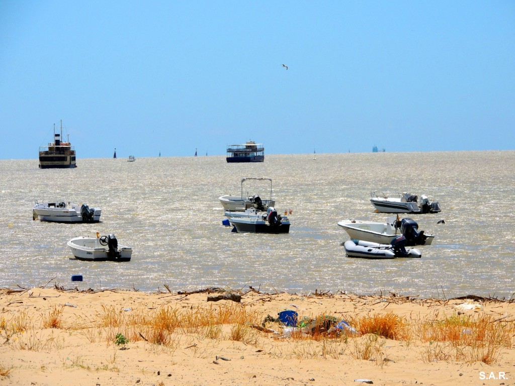 Foto: Río Guadalquivir amarres - Bonanza (Cádiz), España