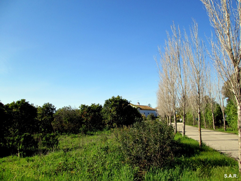 Foto de Campano (Cádiz), España