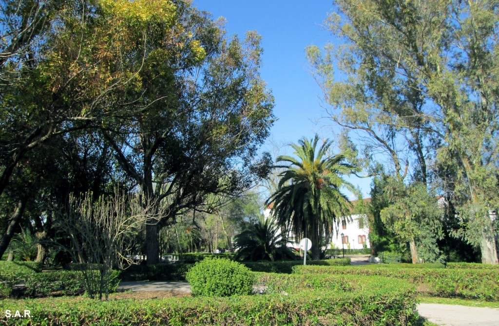 Foto de Campano (Cádiz), España