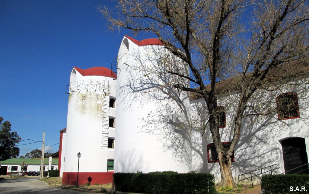 Foto de Campano (Cádiz), España