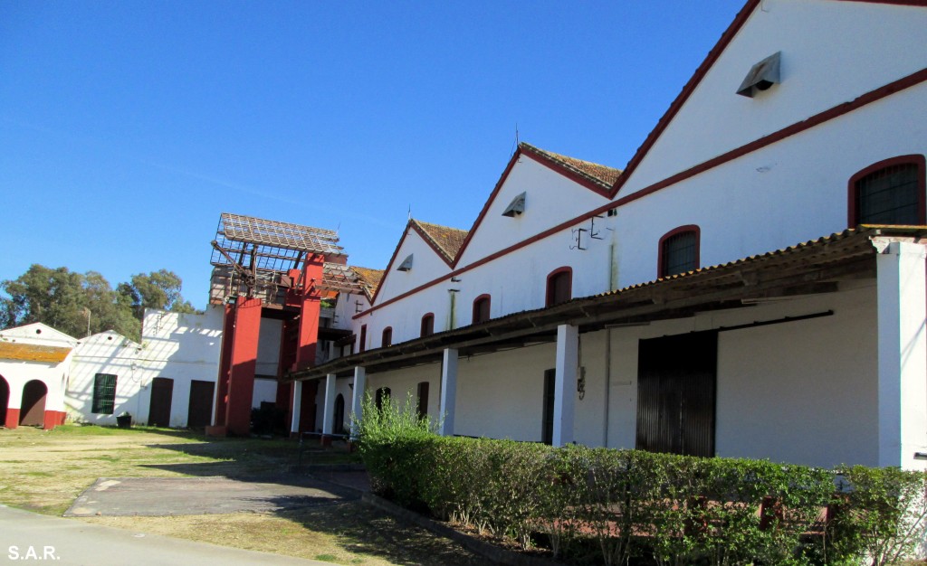 Foto de Campano (Cádiz), España