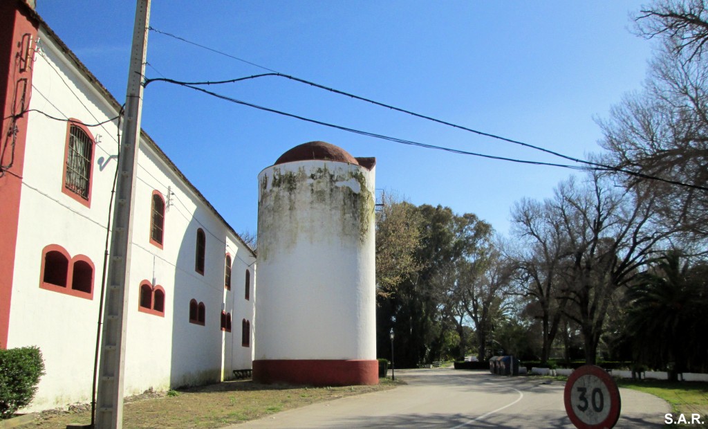 Foto de Campano (Cádiz), España