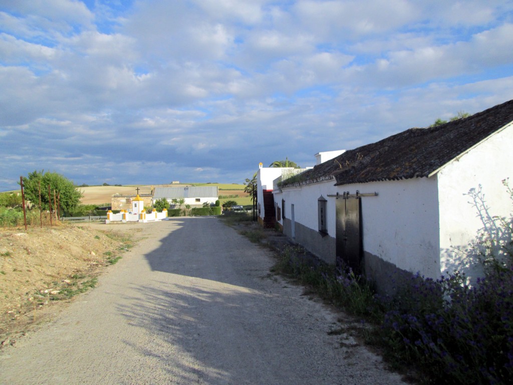 Foto: Salida a la carretera de Espera - Caserío San Bernardino (Cádiz), España