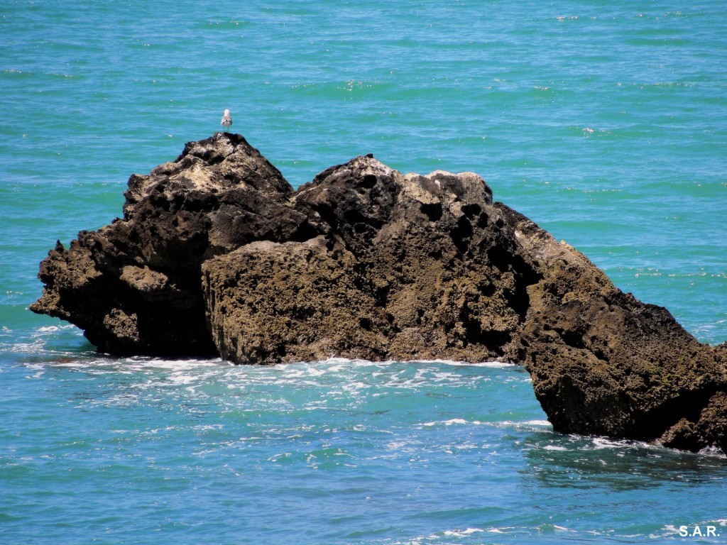 Foto: Islotes - Conil de la Frontera (Cádiz), España