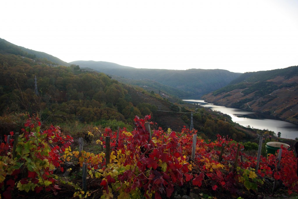 Foto de Parada de Sil (Ourense), España