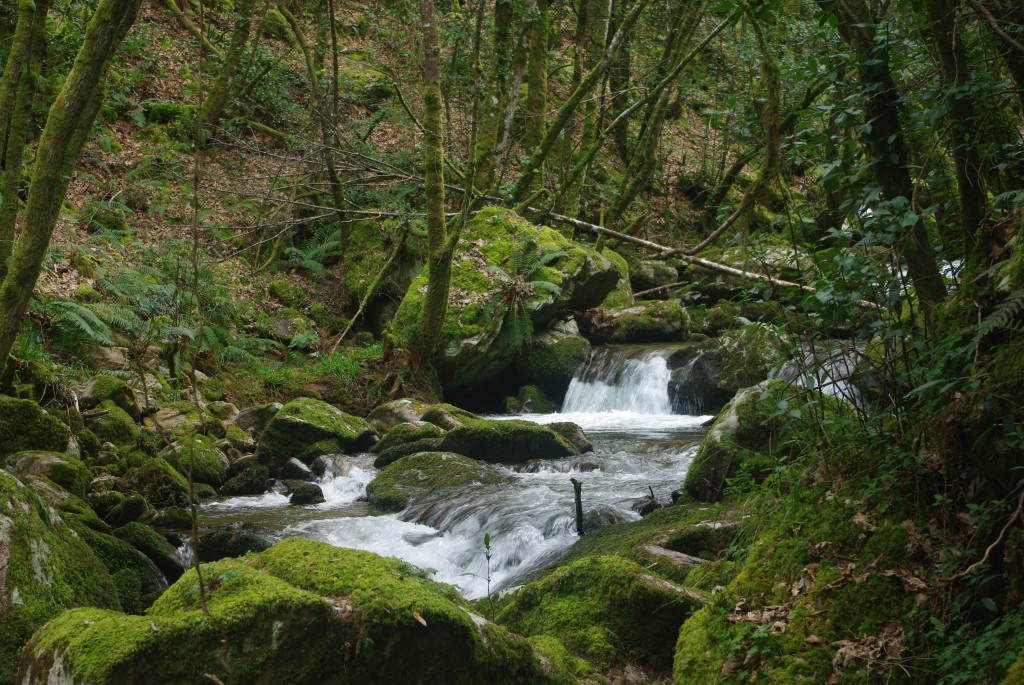 Foto de Padrenda (Ourense), España