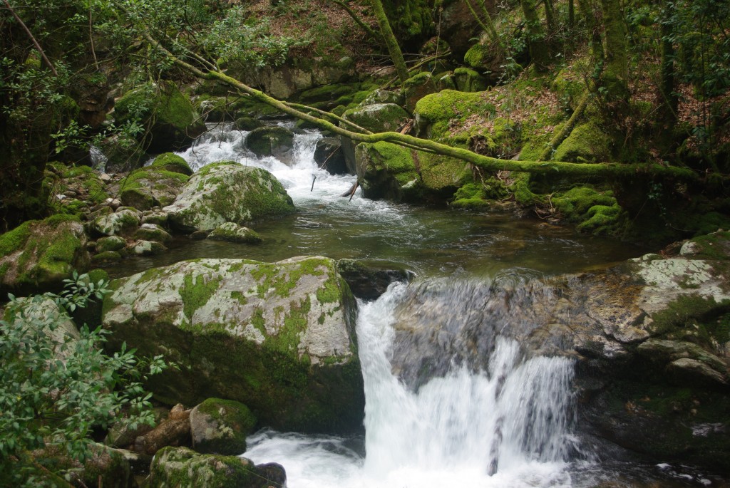 Foto de Padrenda (Ourense), España