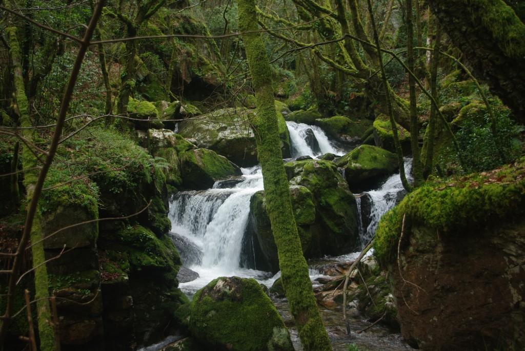 Foto de Padrenda (Ourense), España