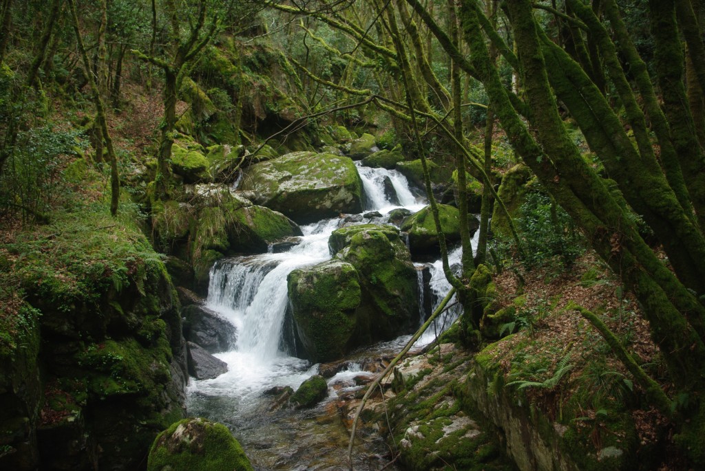 Foto de Padrenda (Ourense), España