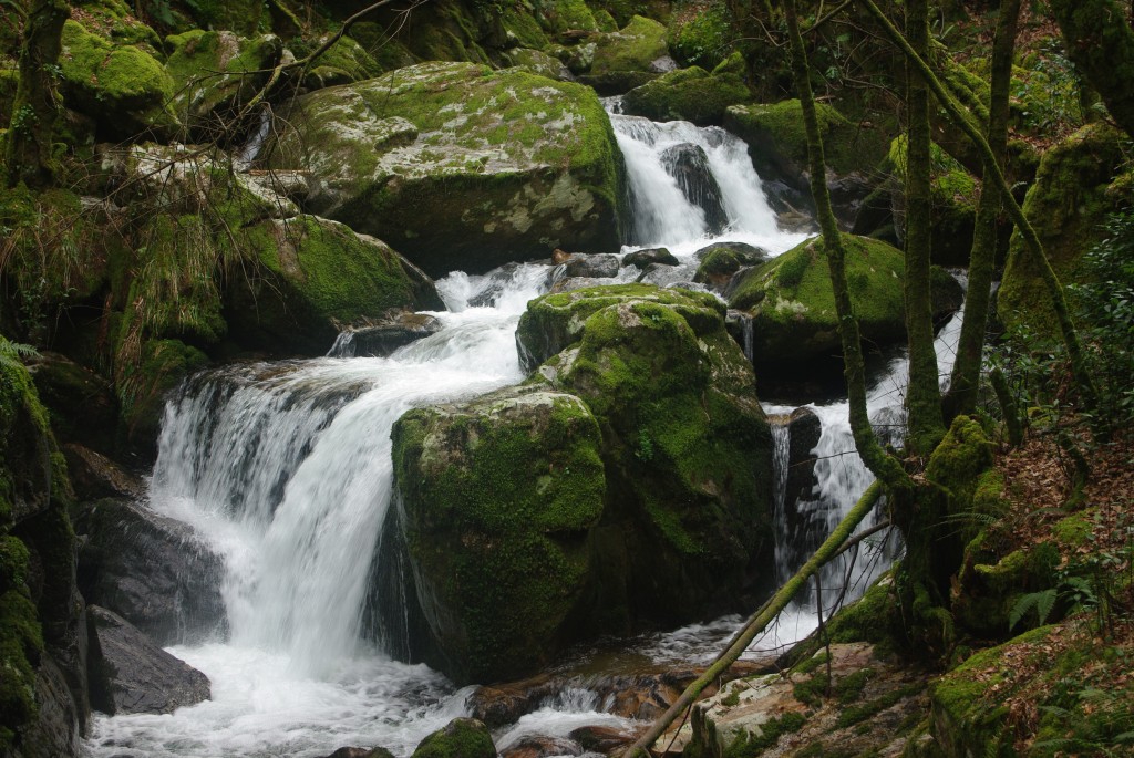 Foto de Padrenda (Ourense), España