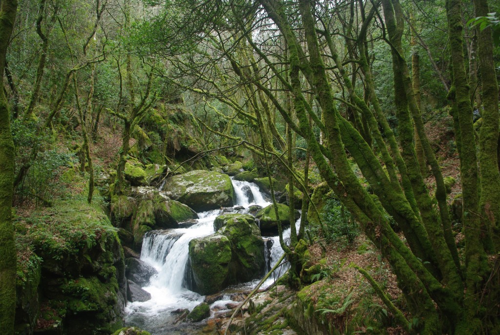 Foto de Padrenda (Ourense), España