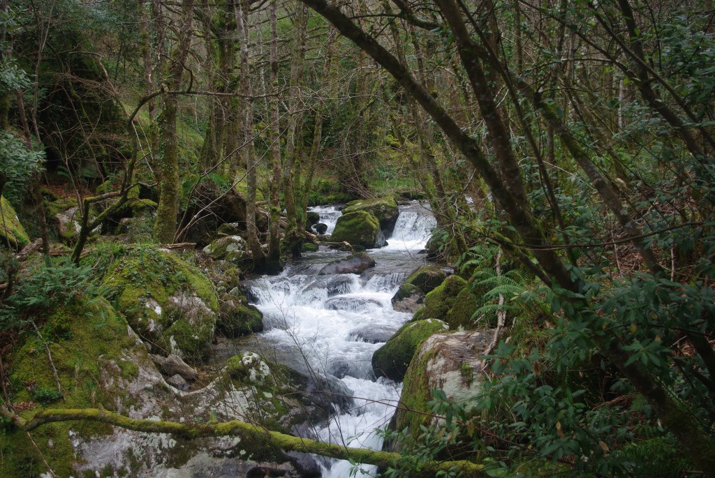 Foto de Padrenda (Ourense), España