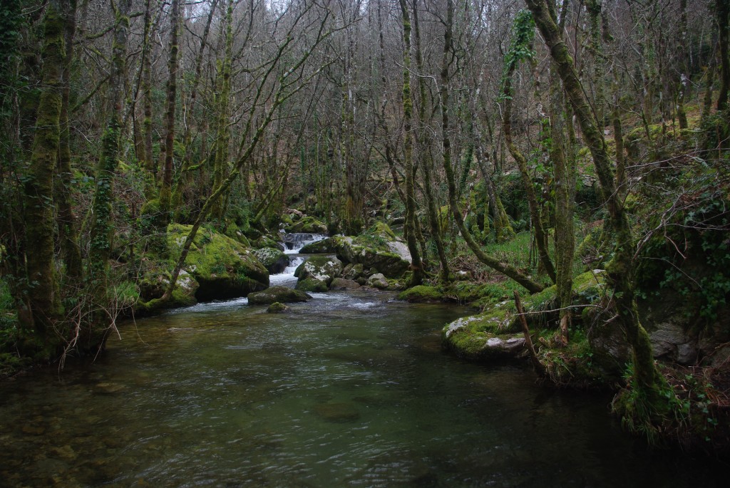 Foto de Padrenda (Ourense), España