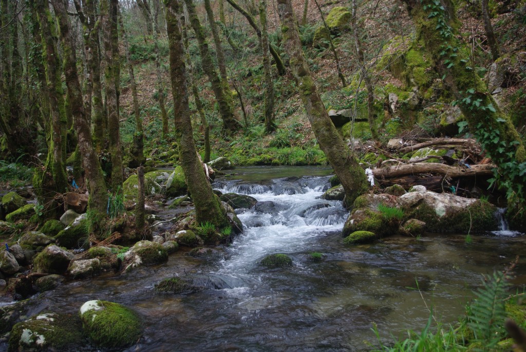 Foto de Padrenda (Pontevedra), España