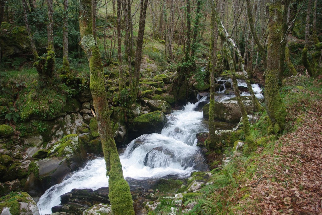 Foto de Padrenda (Pontevedra), España