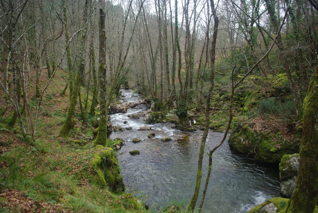 Foto de Padrenda (Ourense), España