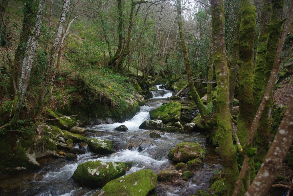 Foto de Padrenda (Ourense), España