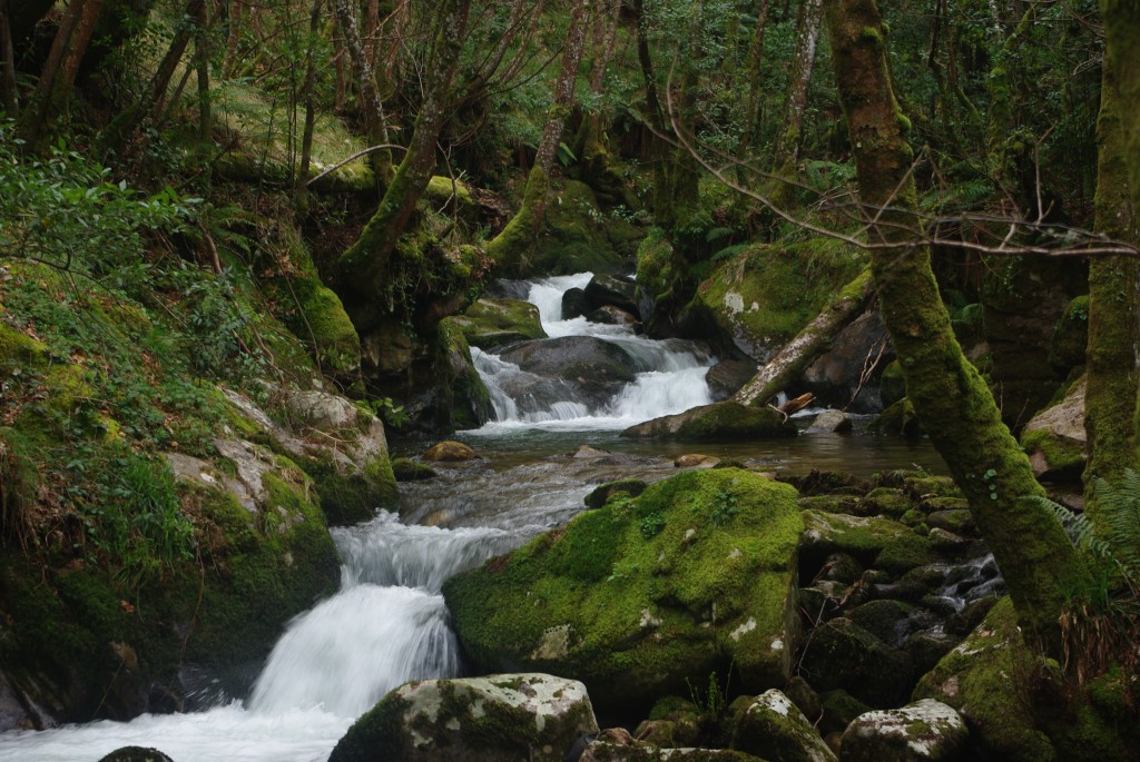 Foto de Padrenda (Ourense), España