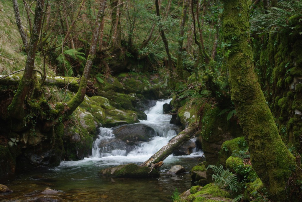 Foto de Padrenda (Ourense), España