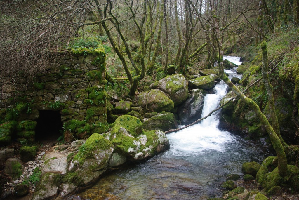 Foto de Padrenda (Ourense), España