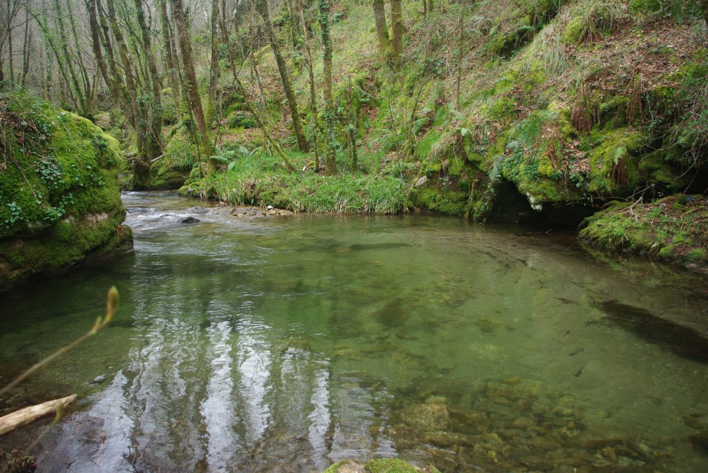 Foto de Padrenda (Ourense), España