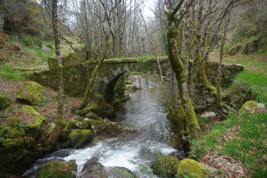 Foto de Padrenda (Ourense), España