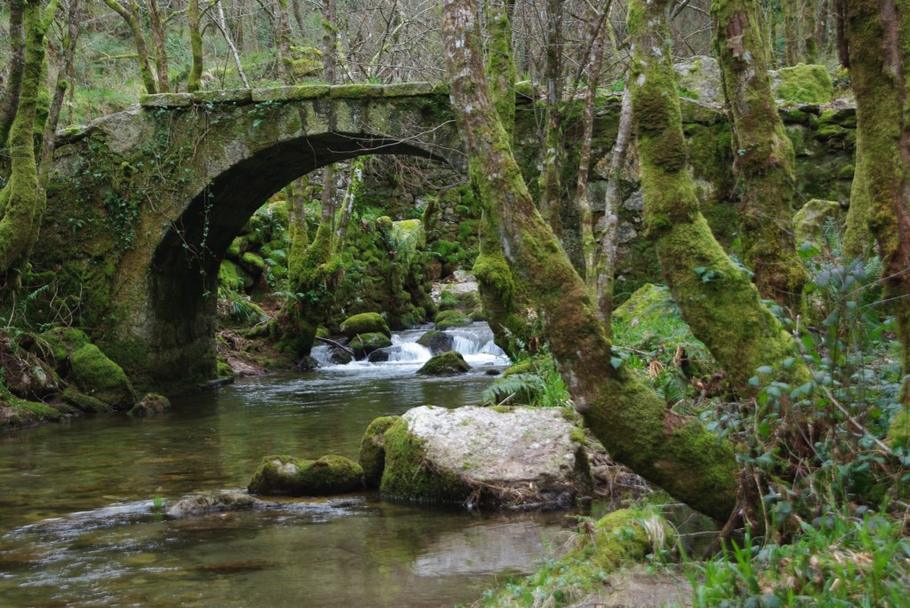 Foto de Padrenda (Ourense), España