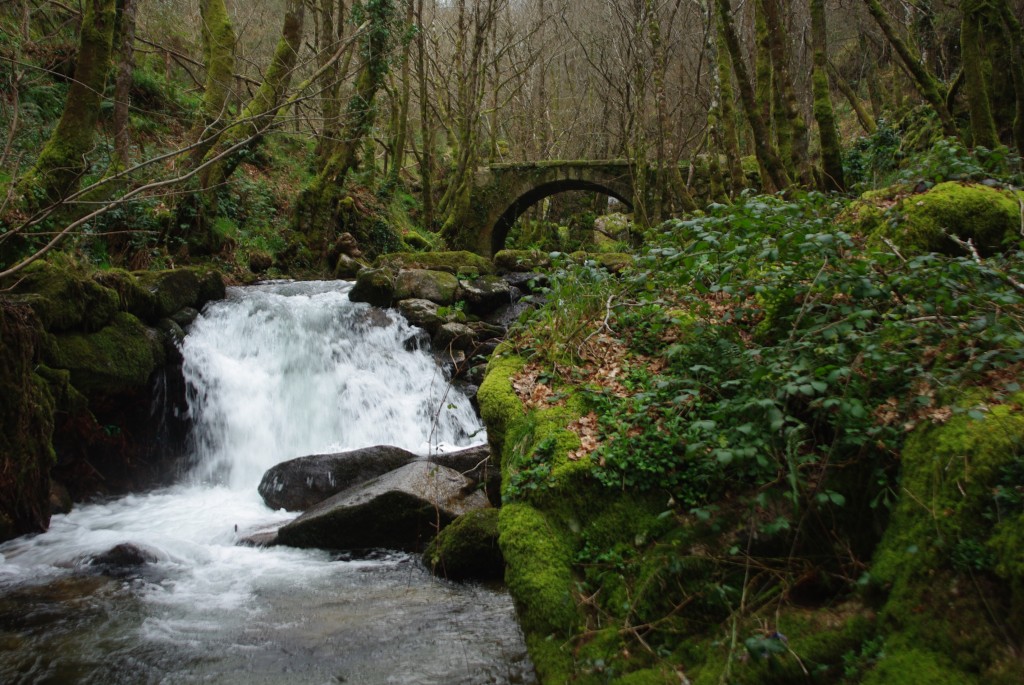 Foto de Padrenda (Ourense), España