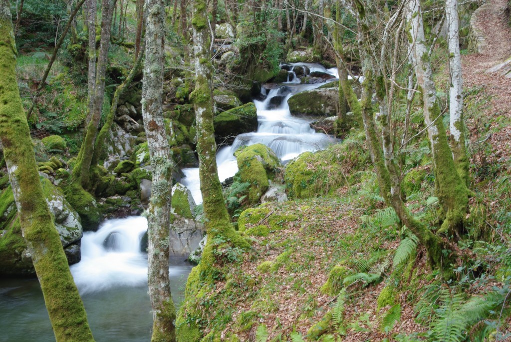 Foto de Padrenda (Ourense), España