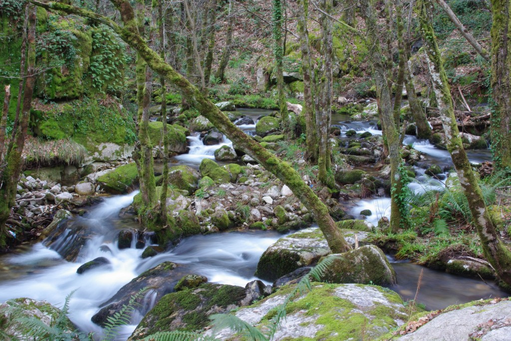 Foto de Padrenda (Ourense), España