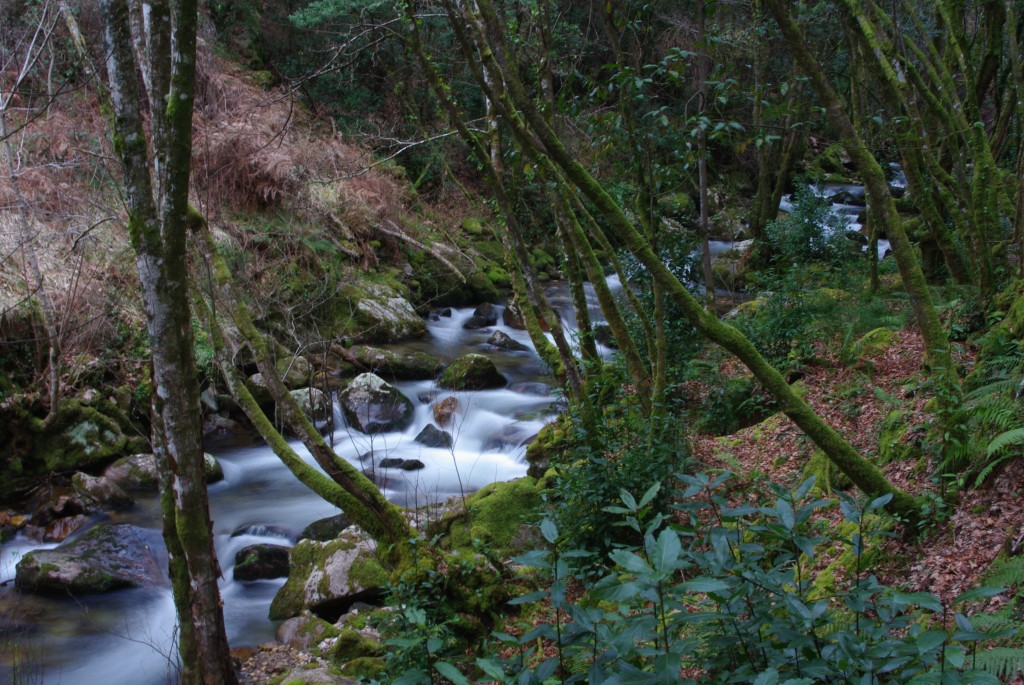 Foto de Padrenda (Ourense), España