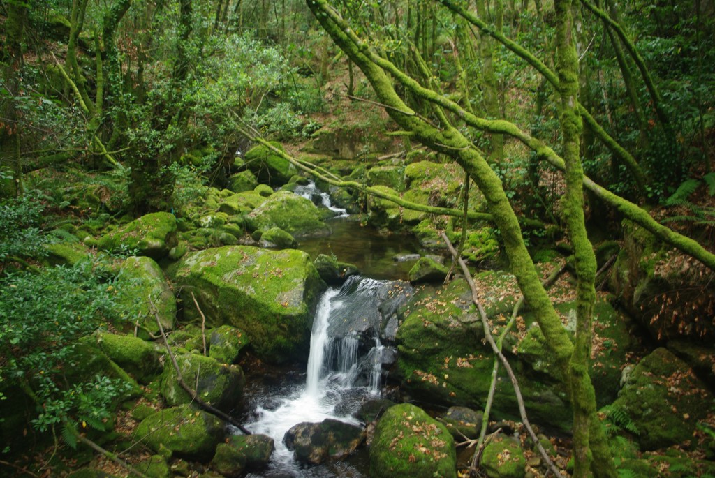 Foto de Padrenda (Ourense), España