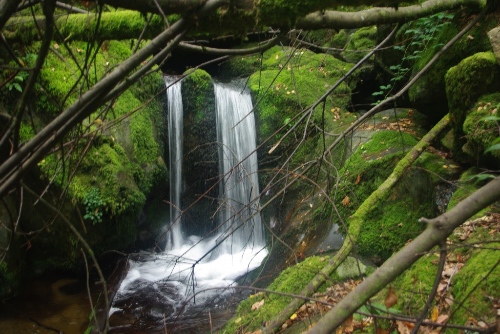 Foto de Padrenda (Ourense), España