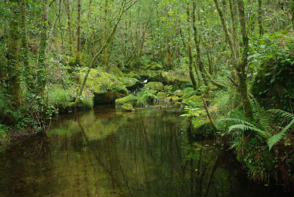 Foto de Padrenda (Ourense), España