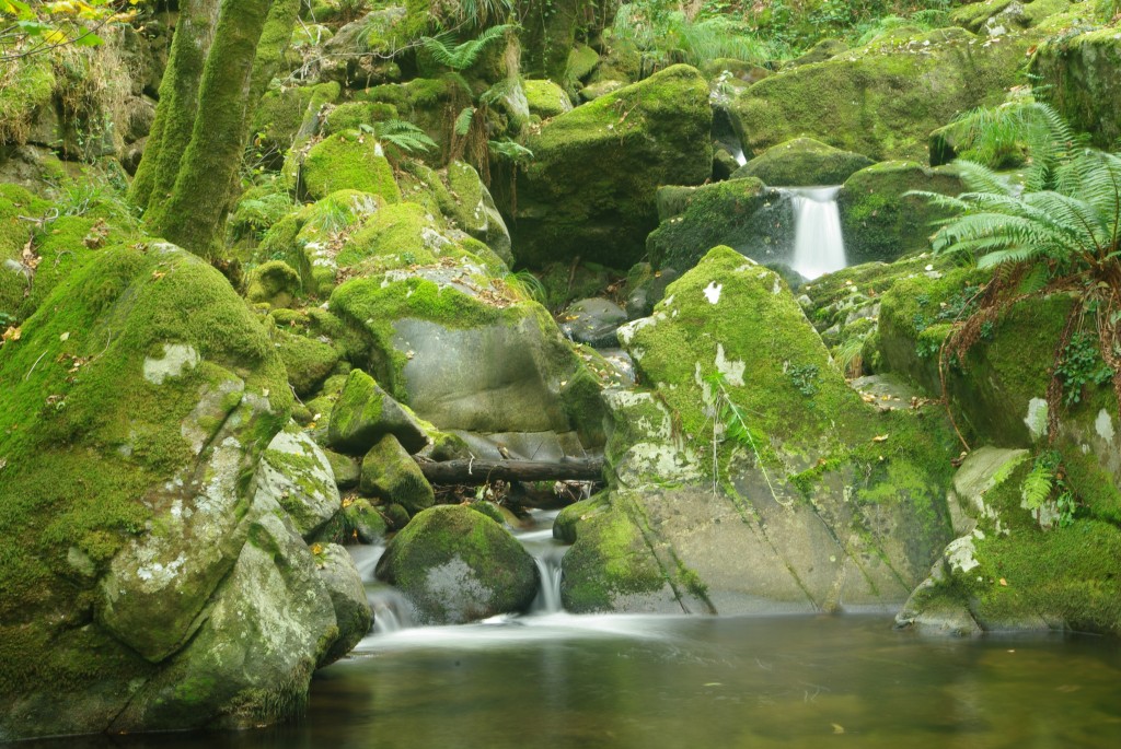 Foto de Padrenda (Ourense), España