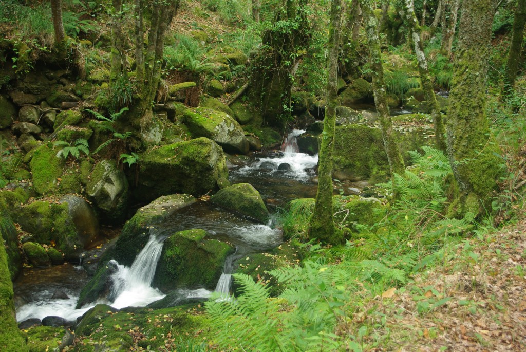 Foto de Padrenda (Ourense), España