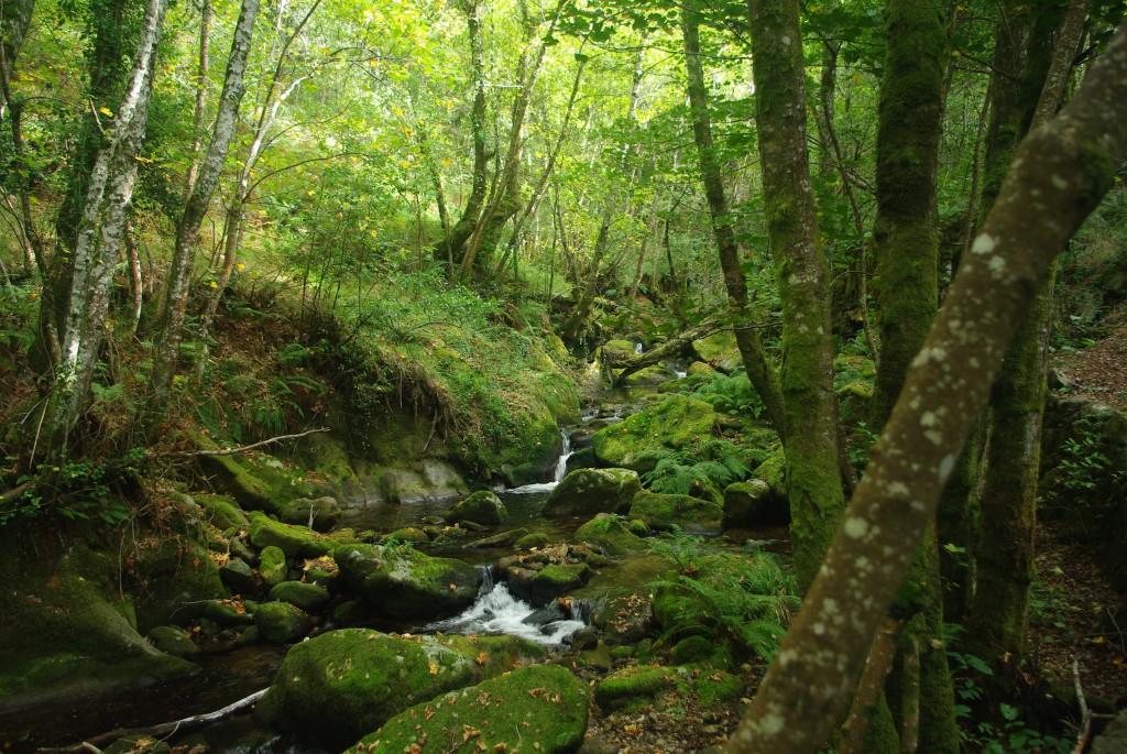 Foto de Padrenda (Ourense), España