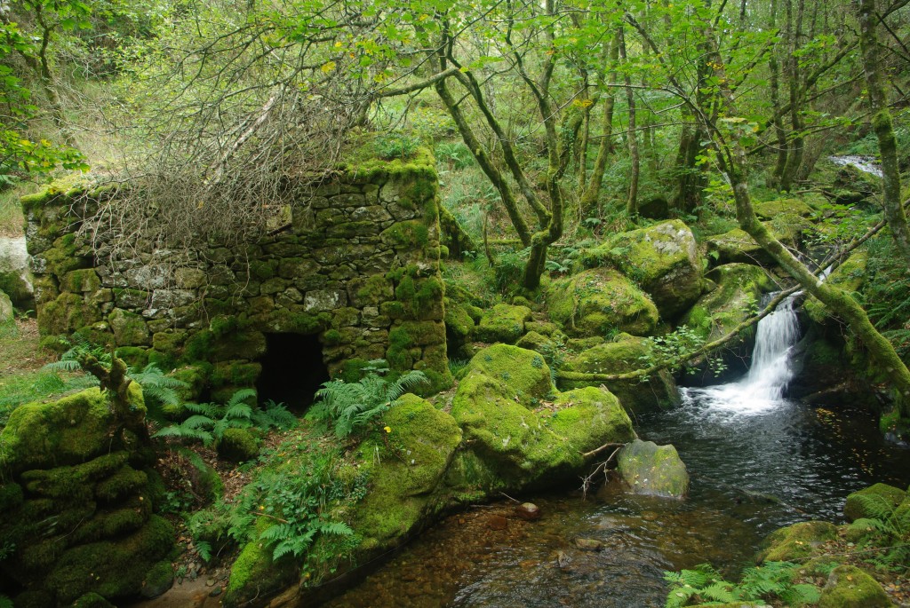 Foto de Padrenda (Ourense), España