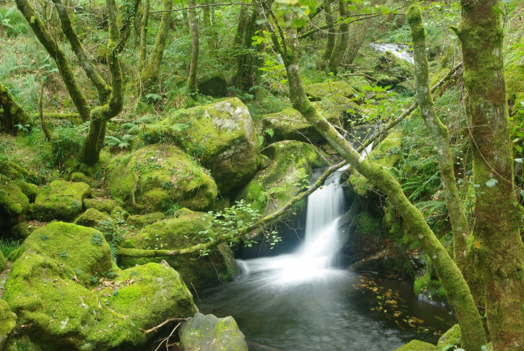 Foto de Padrenda (Ourense), España