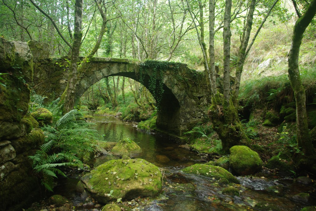 Foto de Padrenda (Ourense), España