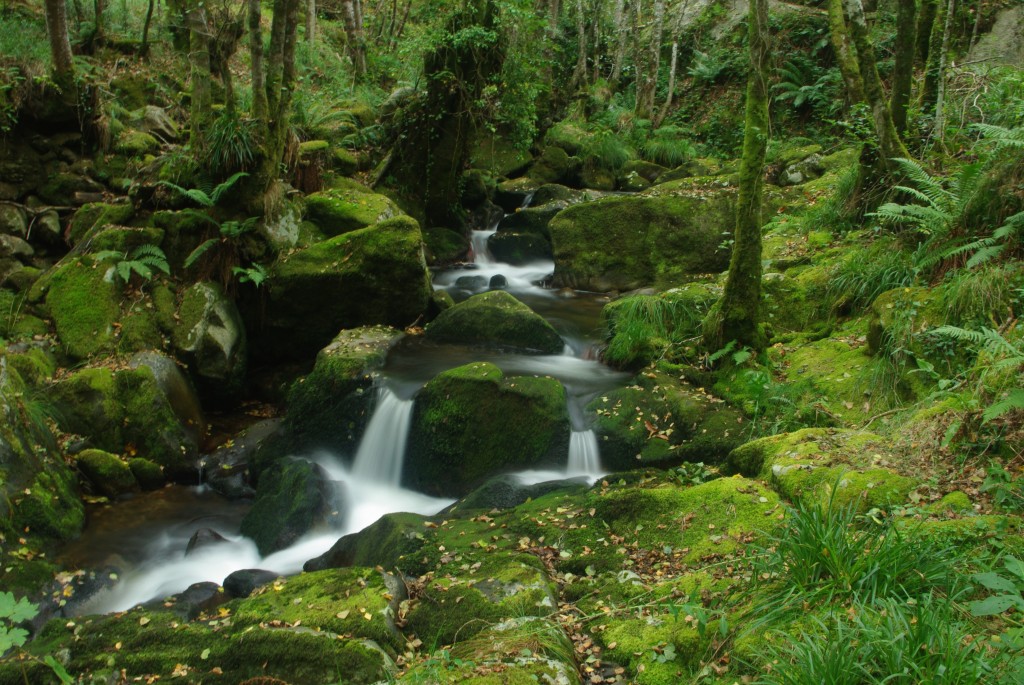 Foto de Padrenda (Ourense), España