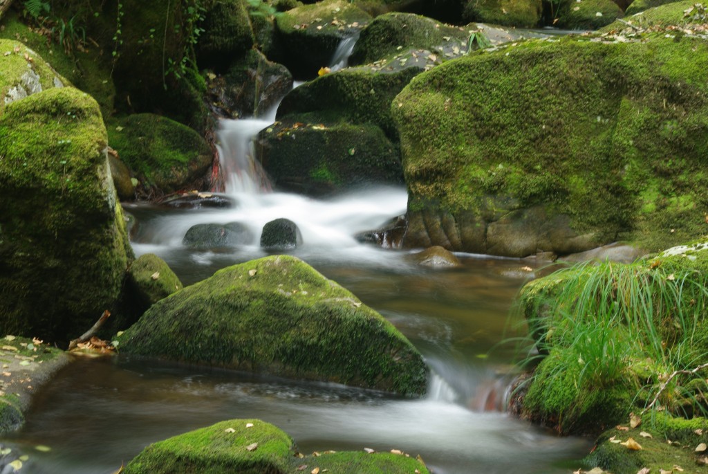 Foto de Padrenda (Ourense), España